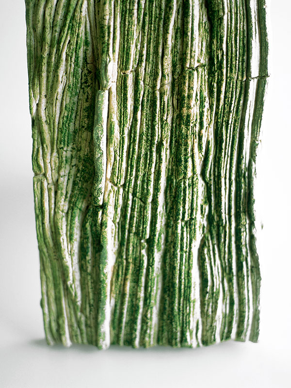 Biocolonizable Textures by Martín Azúa, Adobe Plus